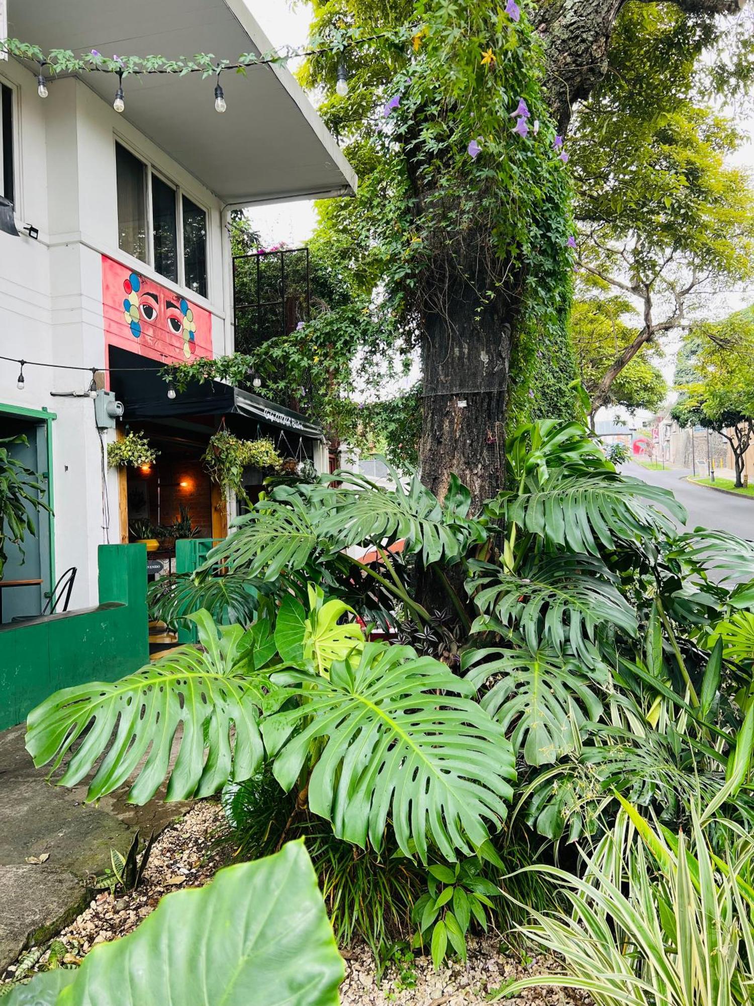 Otoya 1907 Hotel (Adults Only) San Jose  Eksteriør bilde